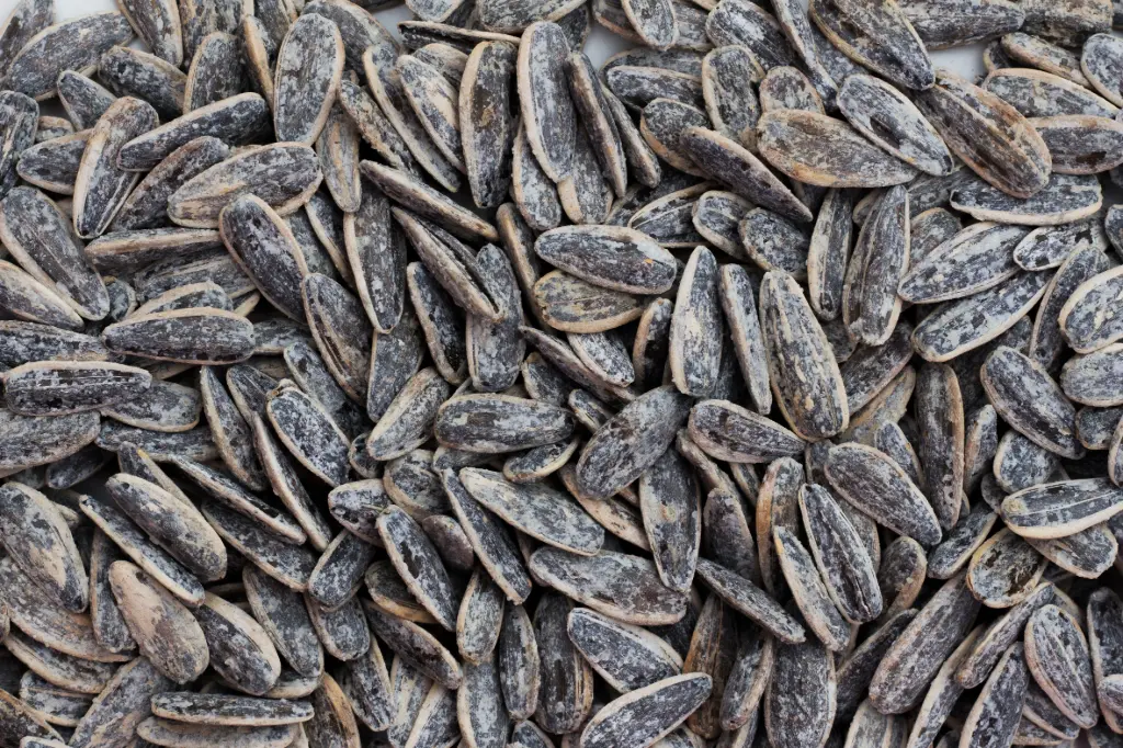 Semilla de girasol salada 24x160gr