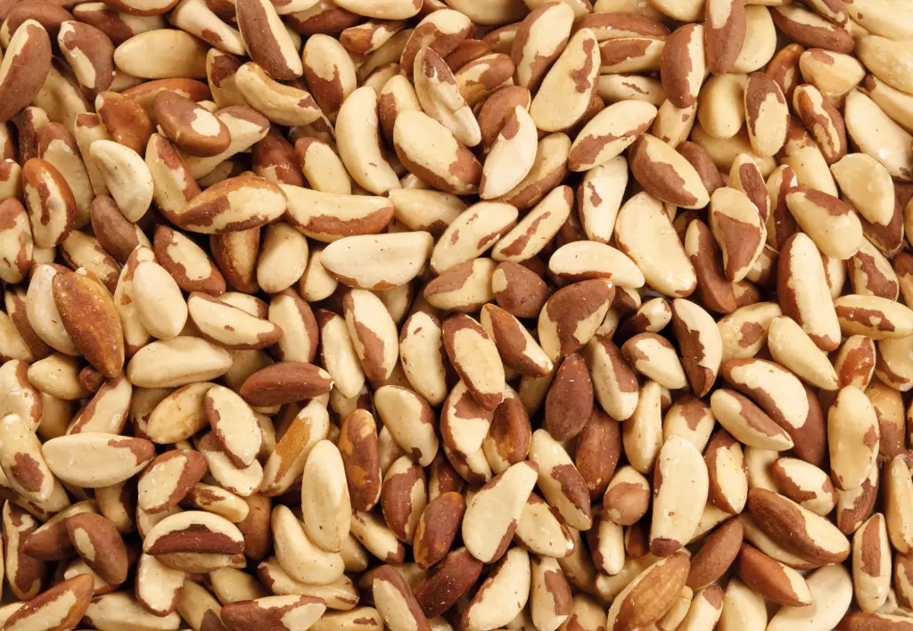 Noix Du Brésil 24x250gr 