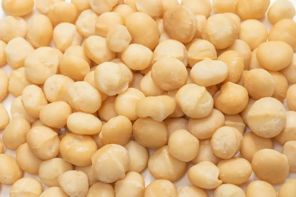 Macadamia  24x400gr