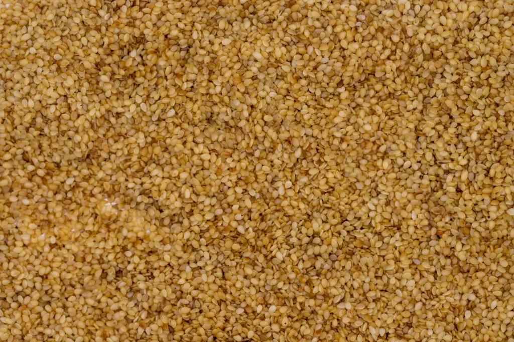 Graines De Sésame Grillé 12x800gr