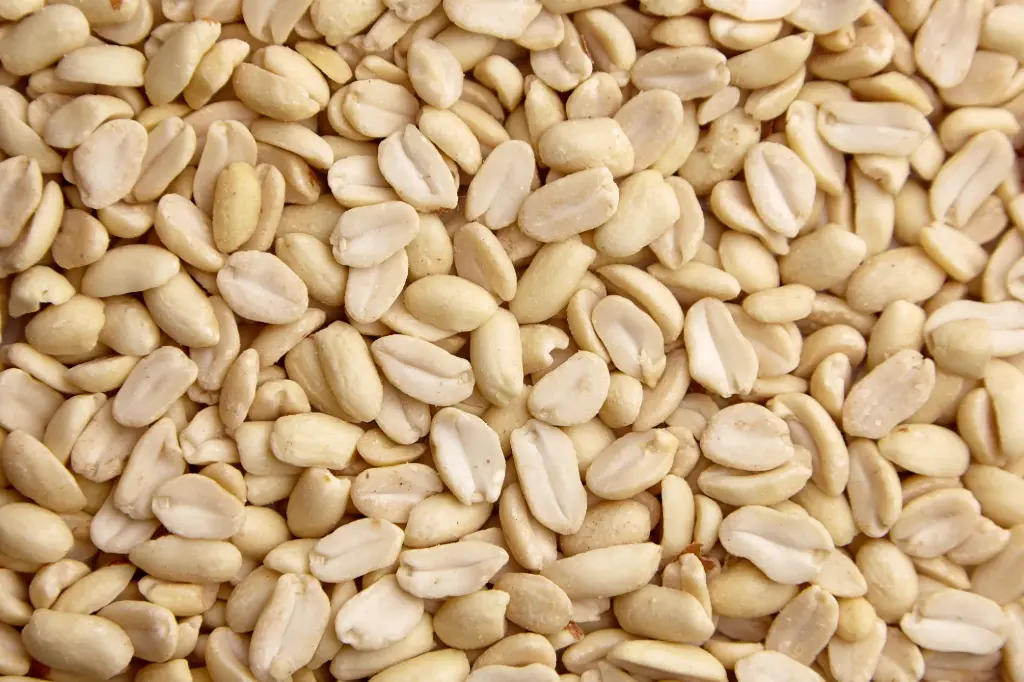 [CACB-24X250G] Cacahuètes Blanchies (24x250g)