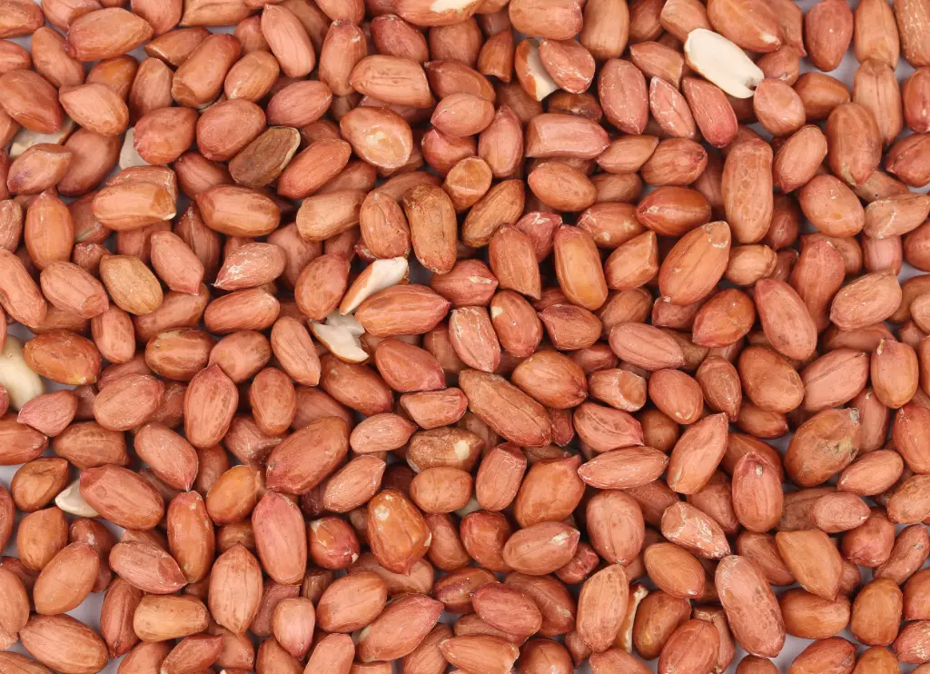 Cacahuètes Brunes Jumbo