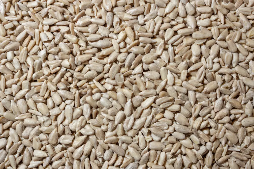 Graines De Tournesol Décortiquées