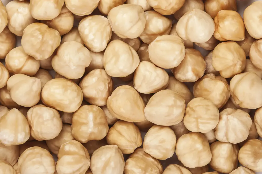 [NOIB-24X250G] Blanched hazelnuts (24x250g)