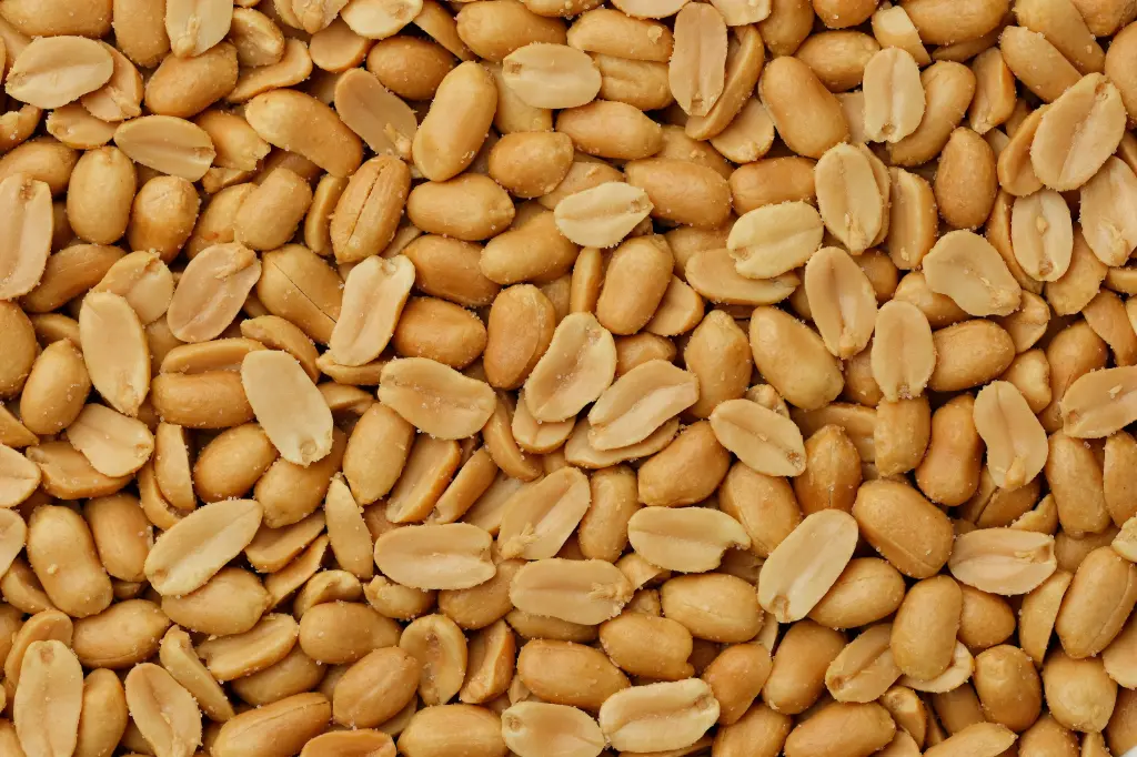 Cacahuetes Grillé- Non Sallées 15x800gr