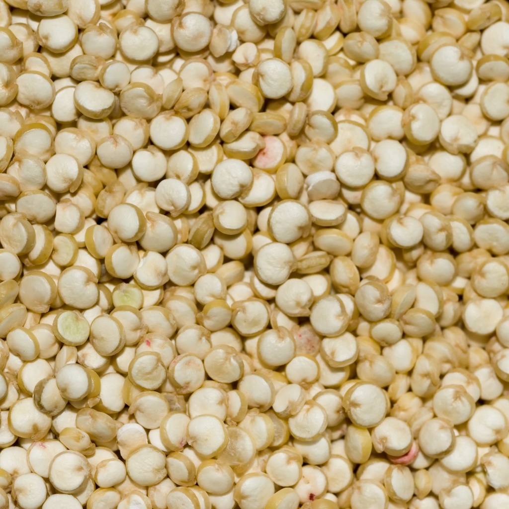 Graines de quinoa blanc