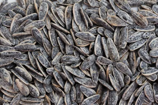 [GDTS-24X160G] Semilla de girasol salada 24x160gr