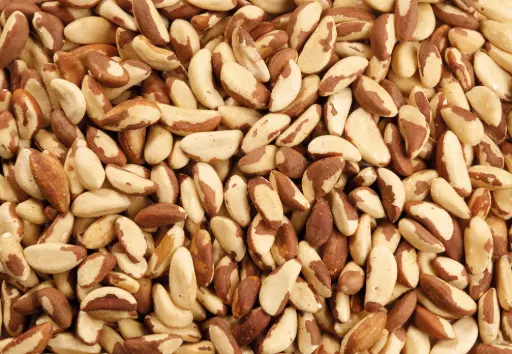 [NDB-24X250] Noix Du Brésil 24x250gr 