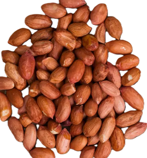 [CACBJ-24x250G] Cacahuètes Brunes Jumbo  24x250gr