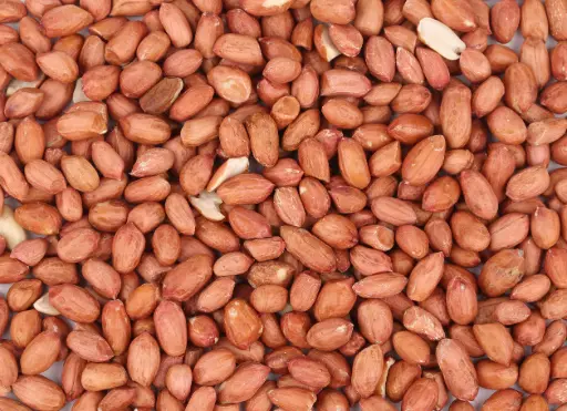 Cacahuètes Brunes Jumbo