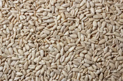 Shelled sunflower seeds