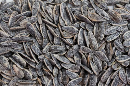Salted sunflower seeds